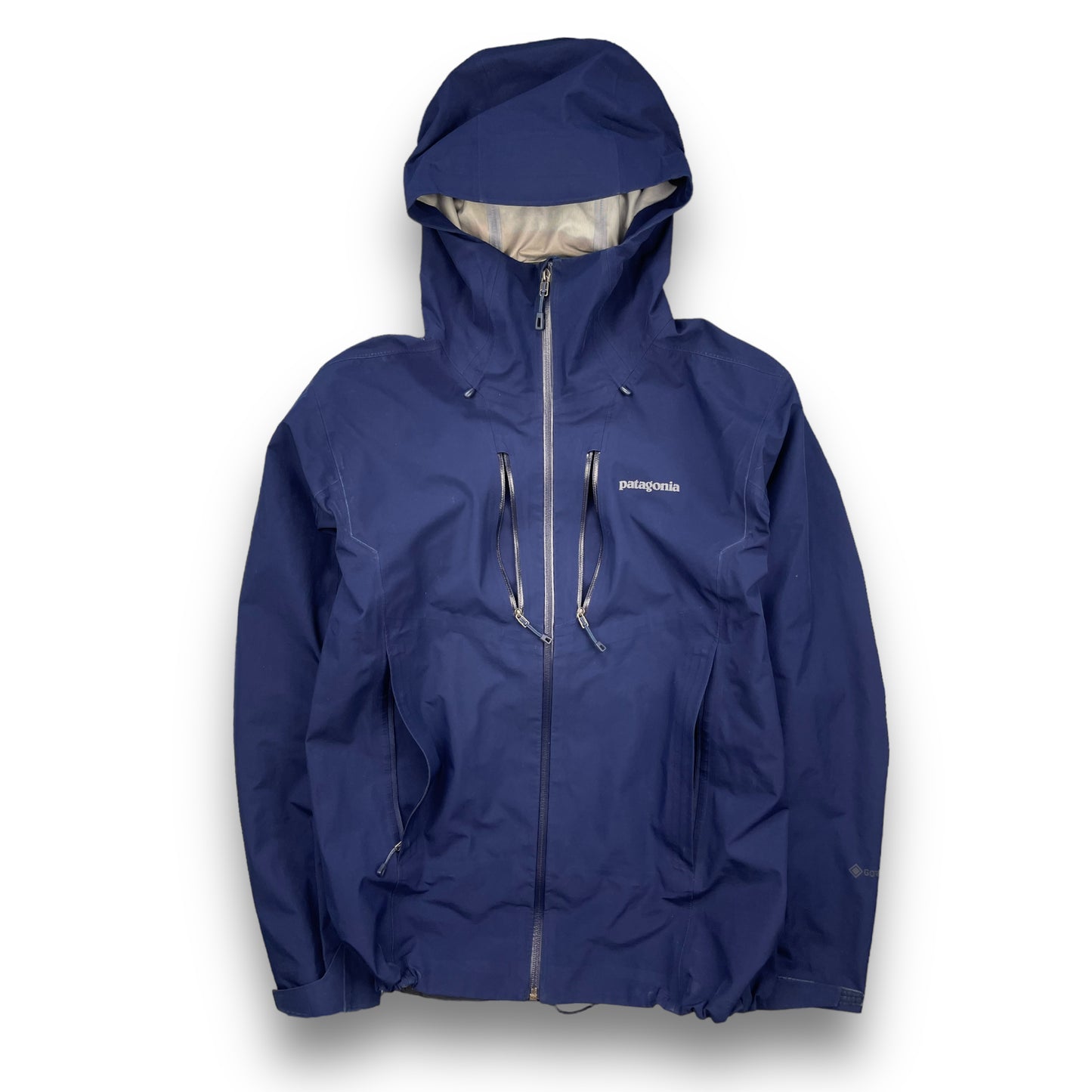 Spring 2021 Patagonia GoreTex Jacket (L)