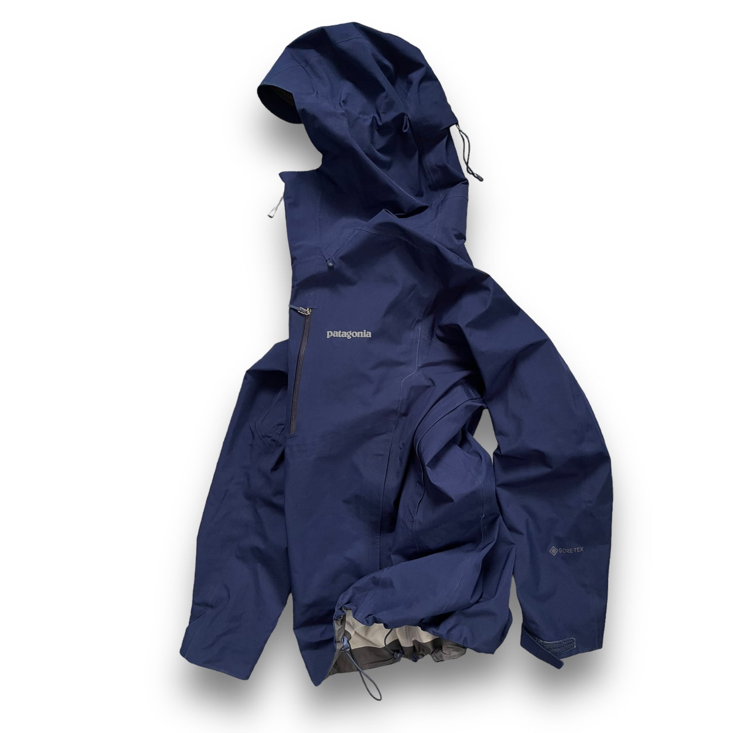 Spring 2021 Patagonia GoreTex Jacket (L)