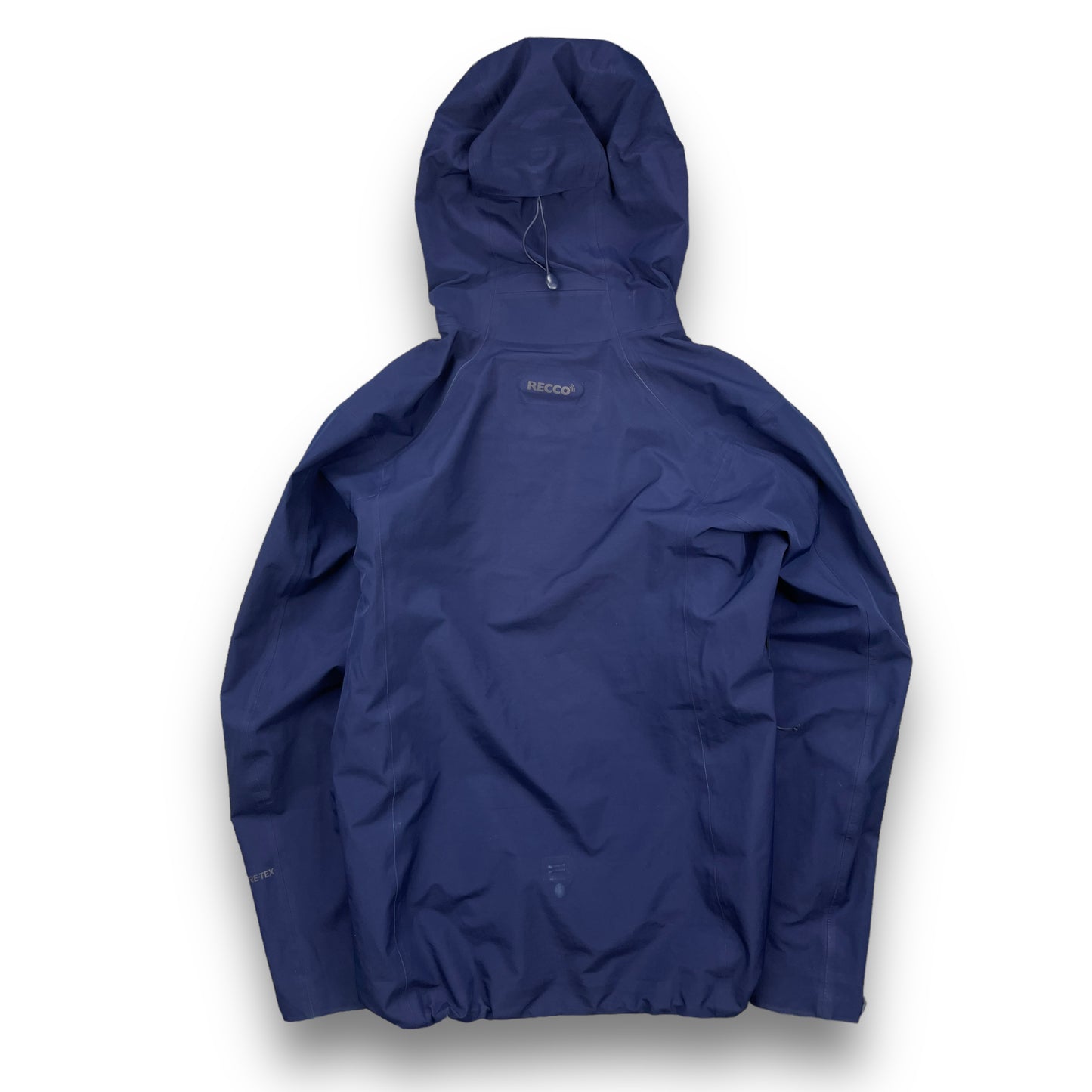 Spring 2021 Patagonia GoreTex Jacket (L)