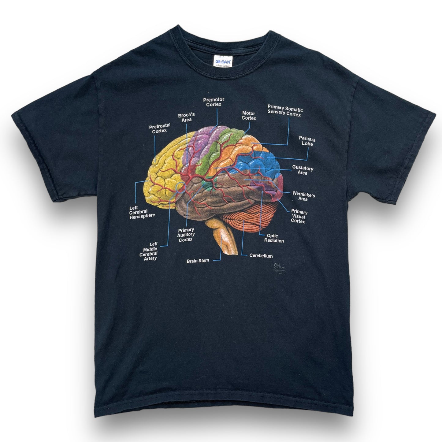 Vintage Brain Diagram Graphic T-Shirt (M)