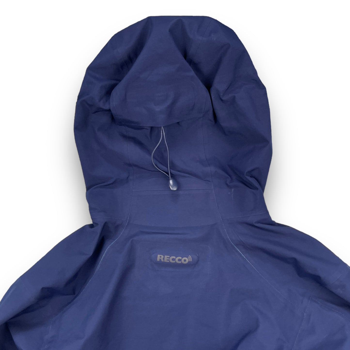 Spring 2021 Patagonia GoreTex Jacket (L)