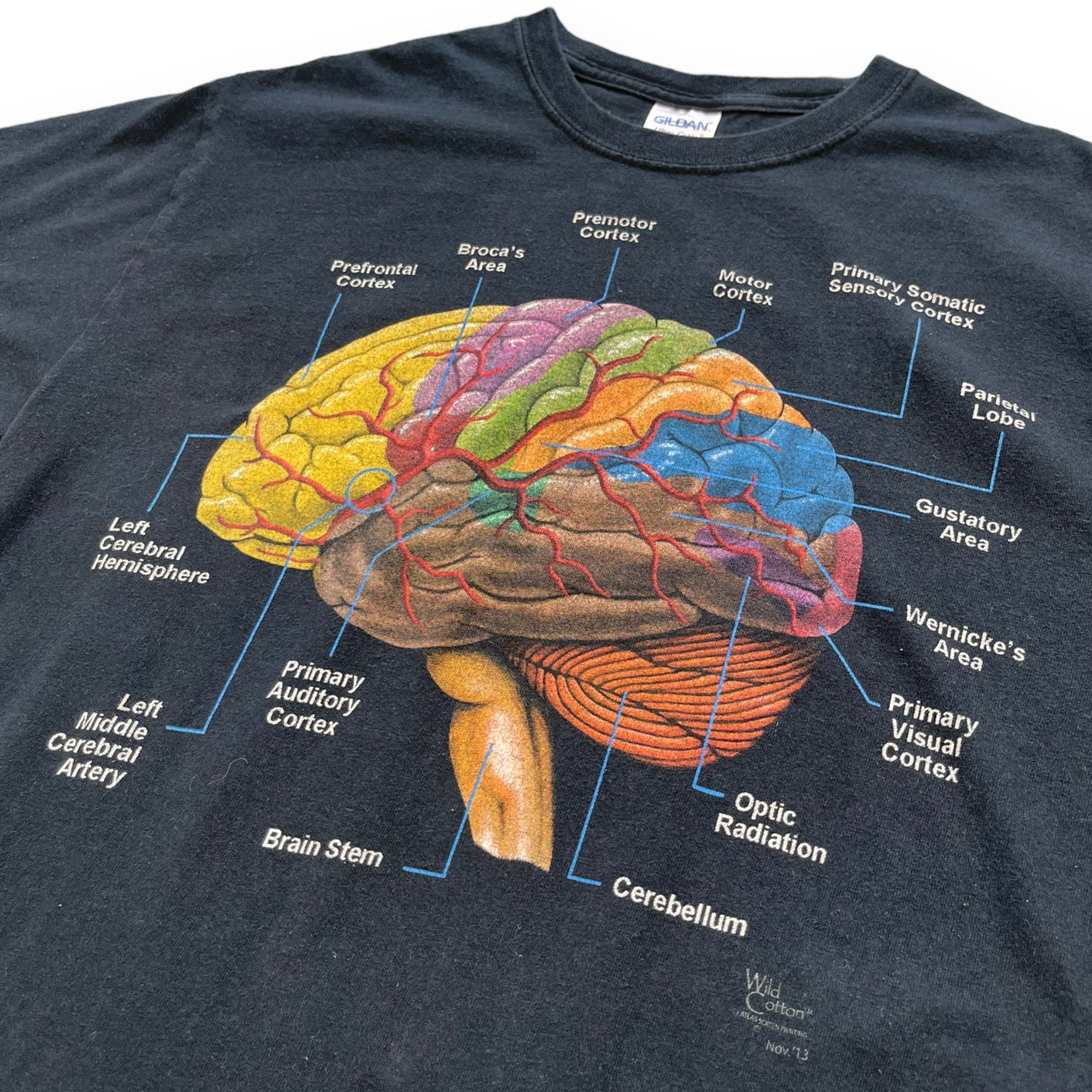 Vintage Brain Diagram Graphic T-Shirt (M)